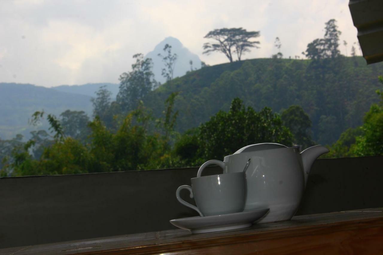 Hotel Ayos Hill Adam'S Peak Free Shuttle Nallathanniya Esterno foto